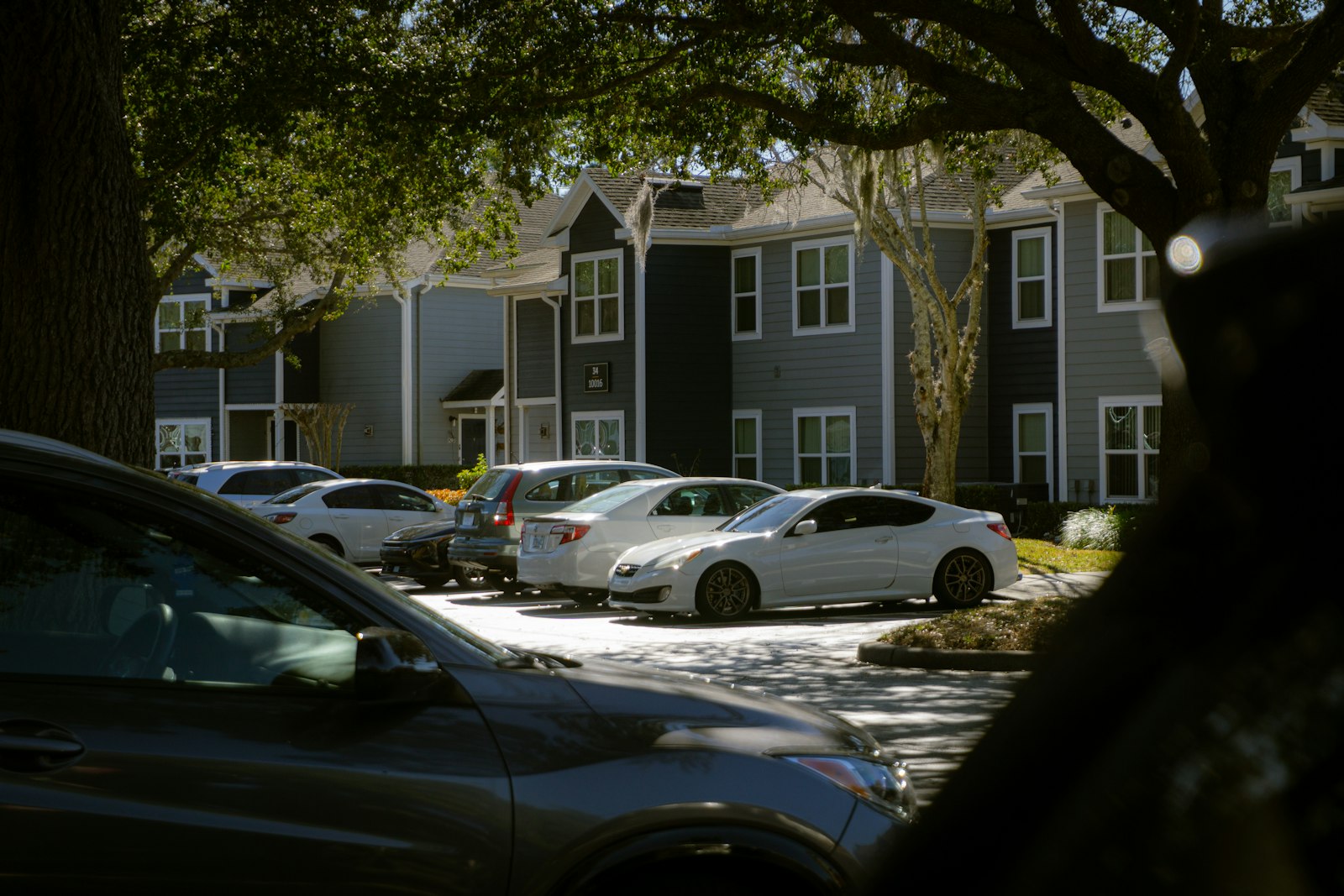 Late-model cars parked under shade trees in a suburban residential community